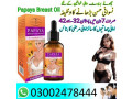 papaya-breast-enlargement-oil-in-hyderabad-03002478444-small-0