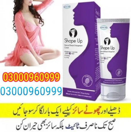 shape-up-breast-enlargement-cream-in-rahim-yar-khan-03000960999-big-0