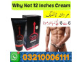 why-not-12-inches-cream-in-muzaffargarh03210006111-small-0